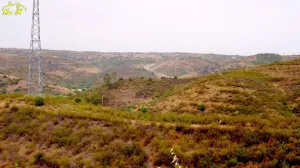 Propiedad de casi 9 hectáreas con viabilidad para proyectos.