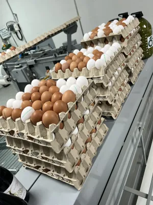 Alquiler de negocio en funcionamiento