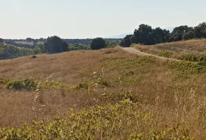 Finca Rústica en Santa Cruz de Retamar