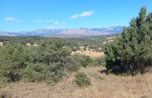 Finca Rústica en Colmenar Viejo