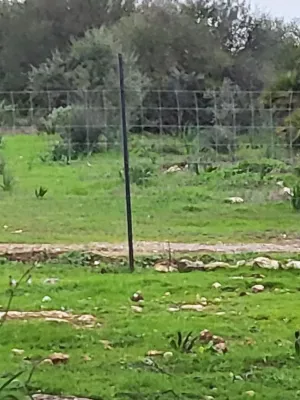 Se vende finca con vistas increíbles