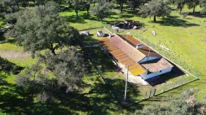 Finca Santiago do Cacém - Setúbal