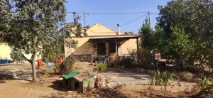 FINCA RÚSTICA CON CASA Y ALMACÉN