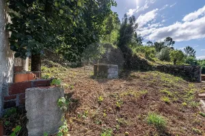 Finca Bouro - Vilela - Caires