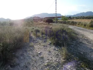 Finca en Agost Alicante