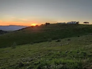 Finca 250 Ha. Castilla-La Mancha