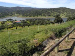 ESPECTACULAR FINCA RUSTICA Y GANADERA