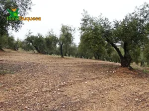 Finca rústica en Peligros - Sierra de la Alfaguara.