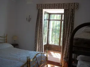 Finca rustica olivar y recreo