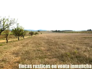 finca en venta 125 has. labor-almendros-monte