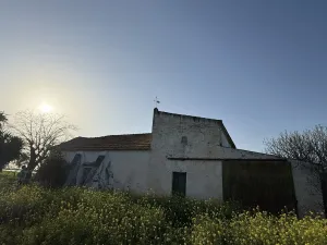 FINCA RÚSTICA PRODUCTIVA EN CAMPIÑA ECIJANA