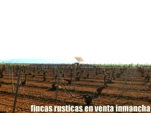 finca en venta 366 has. labor viña en Toledo