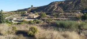 Huerta con casa de aperos, punto de luz y aljibe en los tollos, Archena.