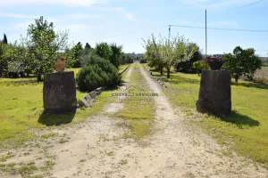Finca rustica La palma del Condado