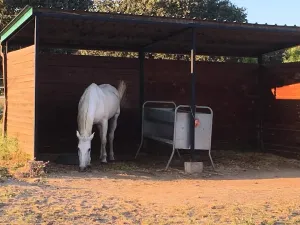 Finca con vivienda y inst.ecuestres