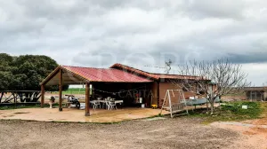 Hípica en venta a menos de 1 hora de Madrid