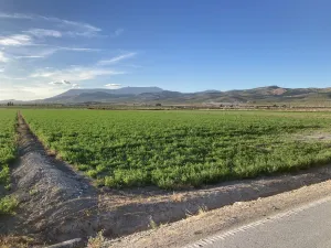 Finca agrícola de regadío en la vega Granada