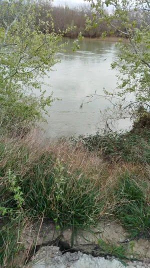 Finca rústica en Xerta con acceso directo al río Ebro