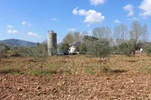 Venta de casa rústica en CR-7131, 1 km