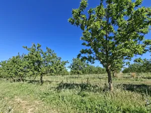 Explotación agropecuaria en producción de 21h