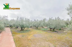 Finca rústica en OGIJARES (Incluye MOBILE HOME)