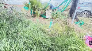 PARCELA RÚSTICA EN SAN JUAN DE HORNILLO – 1.000 m2 CON AGUA Y LUZ | OPORTUNIDAD REAL