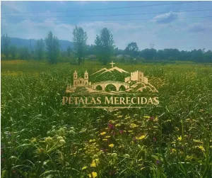 Finca en Póvoa de Lanhoso