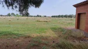 Finca rústica en venta en Constanti