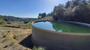 Venta Finca Rústica, Urb. Castellmoster, Castellvell Del Camp