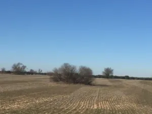 Alquilo parcela de 14,5 Has.