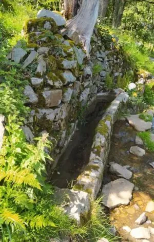 Finca en San Roque de Riomera