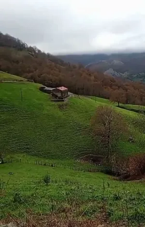 Finca en Arredondo