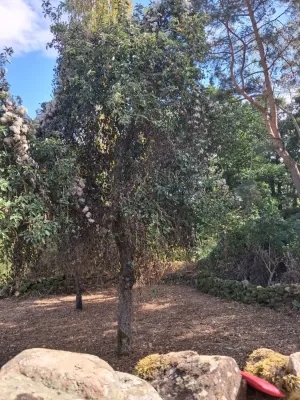 Finca en Espinosa de los Monteros