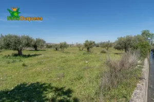 Terrero Rústico en Otura con vistas a Sierra Nevada.