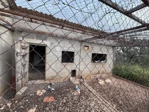 Venta conjunta de dos fincas rústicas en Xerta (granja y finca de olivos)
