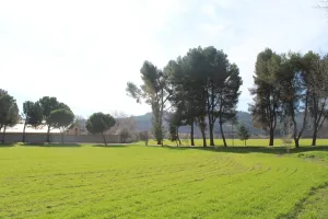FINCA DE LUJO EN MADRID ref. 1544