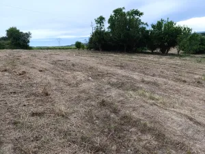 Se vende finca agricola de 5ha