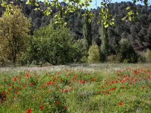 Suelo Urbano con Finca de regadío Parque Nat.