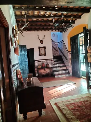 Finca 16ha, con casa , dehesa, naranjos y deh