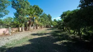 Casa Rústica en Estepona