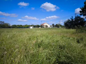 Finca en Palmela