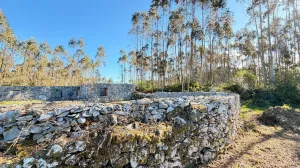 Finca en Porto de Mós