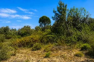Finca en Ourém