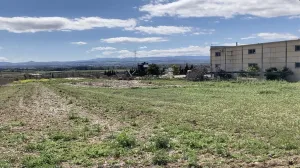 Venta secano productivo con excelente acceso