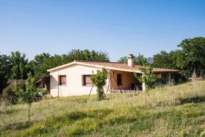 El olivar de San José