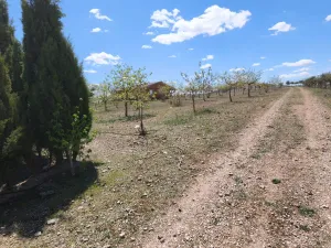Finca Rustica granja de gallinas ecológicas