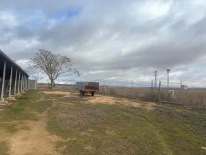 Finca regadío en Toledo