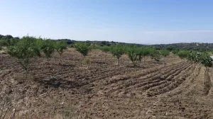 Venta de terrenos