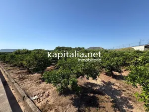 FINCA DE NARANJOS A LA VENTA EN XATIVA