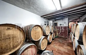 BODEGA DE AUTOR EN PRODUCCIÓN. CASI 6 HECTAREAS DE VIÑEDOS